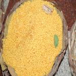 Vraj-Yatra-2014- (866)